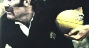 Springbok, springbokke, suid afrika, rugby