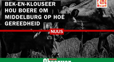 bek-en-klouseer, landbou, boere, middelburg, mpumalanga, kudde, inent, inenting, staat veearts, beeste, agri, virus, bek en klou