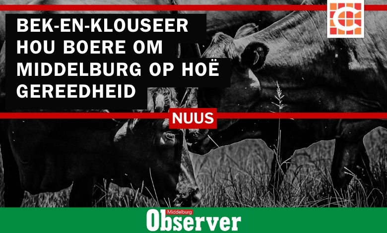 bek-en-klouseer, landbou, boere, middelburg, mpumalanga, kudde, inent, inenting, staat veearts, beeste, agri, virus, bek en klou