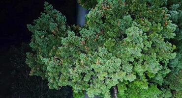 watermeters, diewe, middelburg, kanonkop, water, meter,