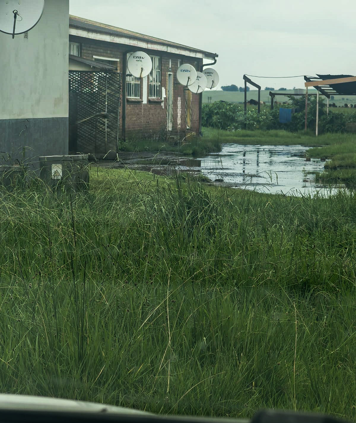 Blinkpan sewage plant, middelburg, blinkpan, mpumalanga, polution, koornfontein mine, ecological disaster 