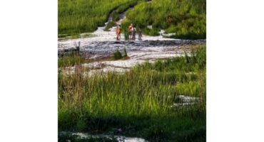 drowning, storm , middelburg, river, nasaret