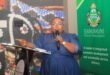 A person in a blue dress speaks into a microphone at a podium. Behind them is a vibrant beaded artwork and a green Sekhukhune District Municipality banner.