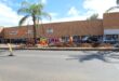 Workers in bright vests are digging on a city street median under a palm tree. Shops in the background; roadwork signs and tools scattered around.