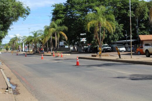 A quiet street with traffic cones marking lanes, lined with tall palm trees and a few parked vehicles. The scene conveys a calm, sunny atmosphere.