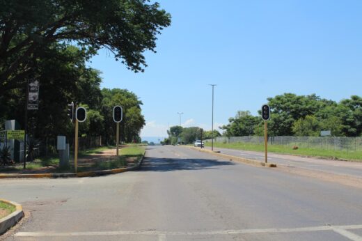 A quiet, sunlit street with traffic lights and lush green trees lining both sides. The road stretches into the distance, creating a serene atmosphere.
