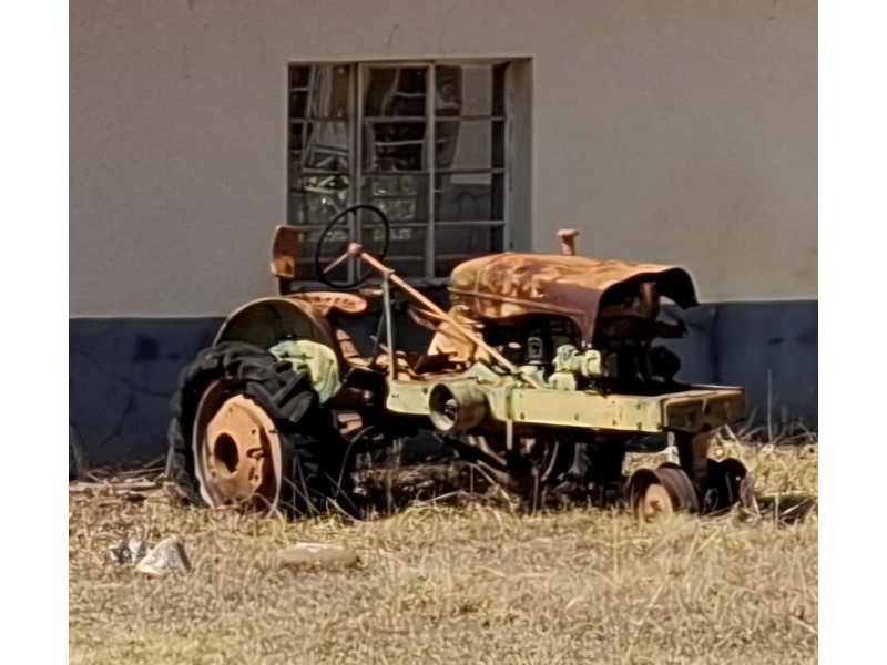 One of the former museum artifacts.