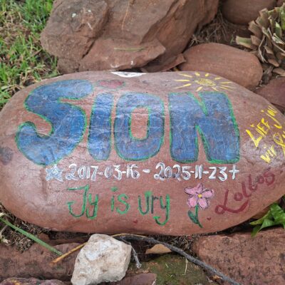 Colorful memorial stone adorned with the name "Sion," dates, and a pink flower. Bright colors symbolize a heartfelt tribute set among rocks.