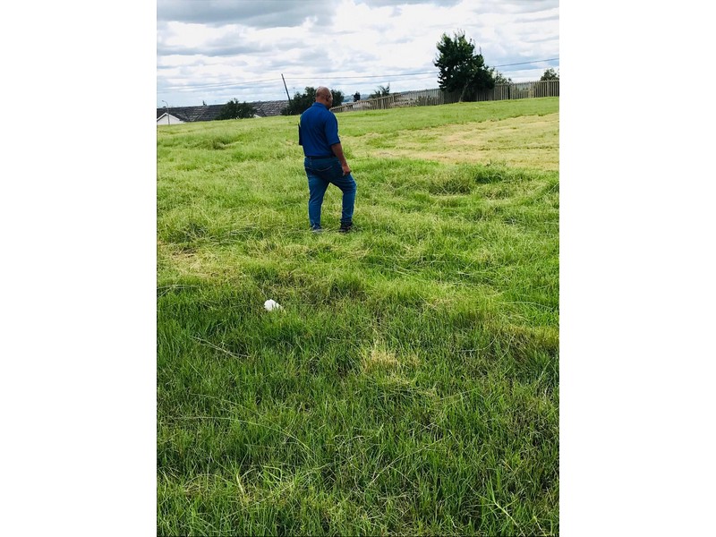 Heaps of recently cut grass was left behind by the municipality. 