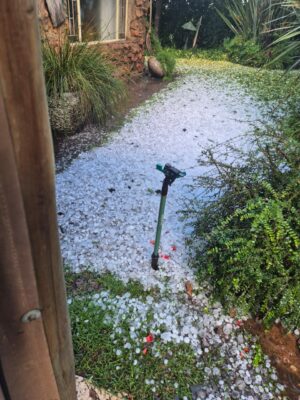 A yard covered in a thick layer of white hailstones near plants and a brick house. A green garden sprinkler stands in the center. The scene appears cold and wintry.