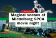 SPCA, MIDDELBURG, ANIMALS, FUNDRAISE, DONATE, COMMUNITY, NSPCA, movie night
