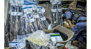 GUN DEALERS SEIZURE OF FIREARMS VIDEO