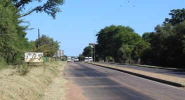 A quiet, two-lane road bordered by lush green trees under a clear blue sky. Several vehicles are driving in the distance, with birds flying above.
