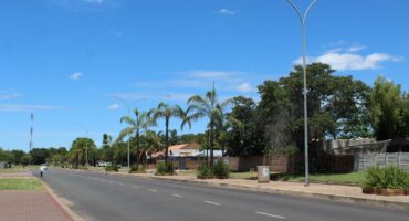 Wide street lined with palm trees under a clear blue sky. Sidewalks and light poles are visible; houses in the background create a tranquil suburban scene.