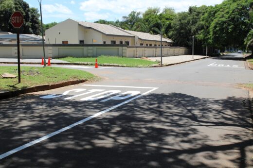 Street intersection with large "STOP" painted on the road, shadowed by trees. A stop sign and traffic cones are near residential houses on a sunny day.