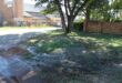 Flooded grassy area with large puddles under a tree, adjacent to a brick building and parking lot; a sunny day highlights the contrast.
