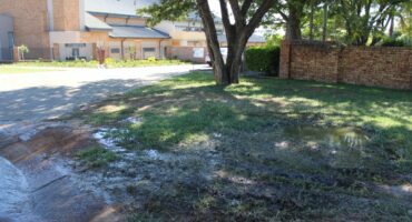 Flooded grassy area with large puddles under a tree, adjacent to a brick building and parking lot; a sunny day highlights the contrast.
