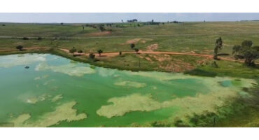 The polluted inlet to Middelburg Dam.