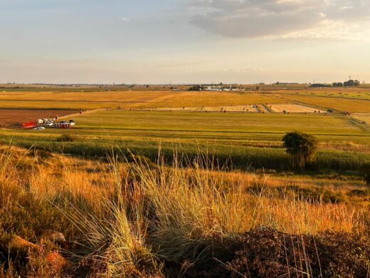 Golden-hour view of a serene farmland with fields stretching into the horizon. Bales of hay are scattered, and machinery sits idle, under a partly cloudy sky.