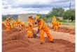 Workers in bright orange uniforms and hats shovel sand on a construction site with a rural backdrop. The scene conveys teamwork and diligence.