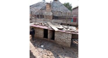 DBV besoek Blinkpan-erf ná kommer oor honde, middelburg, komati kragstasie, diere, welstand, verbetering