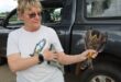 A person wearing a t-shirt with a bird graphic holds a falcon near a parked vehicle, conveying care and expertise.