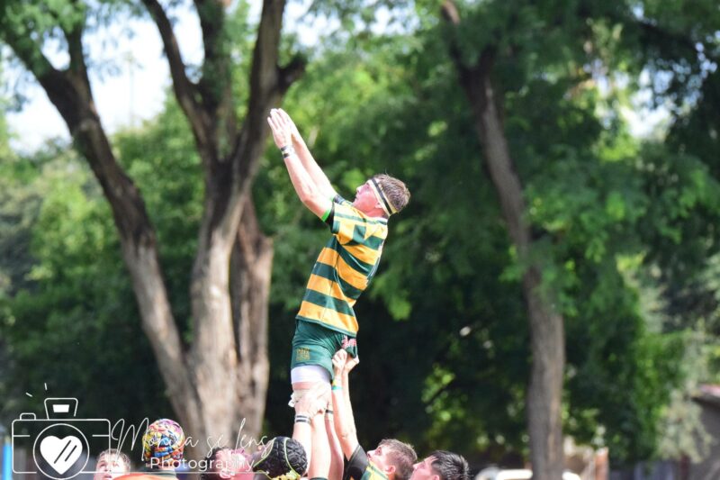 A rugby player in a green and yellow striped jersey is lifted by teammates, reaching for the ball. Lush green trees form the background, conveying action and teamwork.