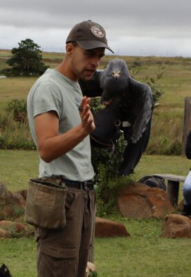 A man in a cap holds a large gray bird of prey perched on a gloved hand, gesturing as if giving a presentation. The setting is an open, grassy area.