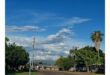 A quiet street lined with lush green trees and a tall palm tree under a vibrant blue sky. White clouds create a peaceful, airy atmosphere.