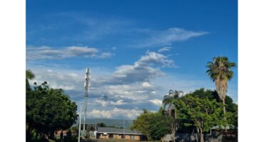 A quiet street lined with lush green trees and a tall palm tree under a vibrant blue sky. White clouds create a peaceful, airy atmosphere.