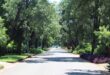 Tree-lined street with lush green foliage and flowerbeds, casting dappled sunlight on the road. A car is visible in the distance, evoking calmness.