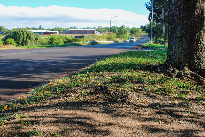 traffic, spoedkamera, verkeer, middelburg, icam, boete, fines