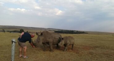 Die man by die renosterkoei wat hom gegaffel het.