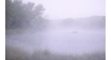 Is dit moontlik ’n seekoei in een van Dullstroom se damme?