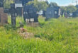 Overgrown cemetery with various headstones surrounded by tall grass under a partly cloudy sky. The scene conveys a tranquil, somber atmosphere.