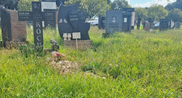 Overgrown cemetery with various headstones surrounded by tall grass under a partly cloudy sky. The scene conveys a tranquil, somber atmosphere.