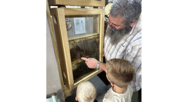 A man with a beard shows two young boys a wooden-framed glass case filled with bees. The boys listen attentively, creating an educational tone.