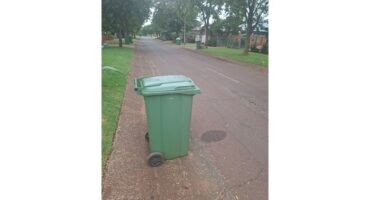 A green wheelie bin.