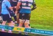 pumas, middelburg, mpumalanga, griekwas, rugby