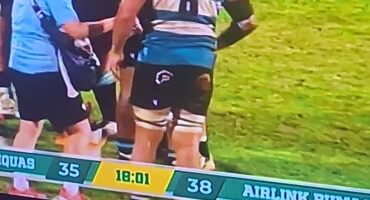 pumas, middelburg, mpumalanga, griekwas, rugby