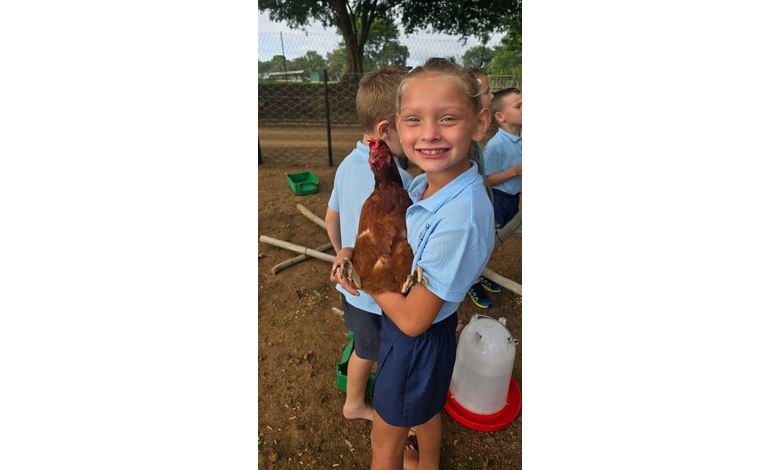Smiling child in blue uniform holds a chicken outdoors near a coop. Other children are in the background, and the setting is cheerful and playful.