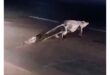 A large crocodile walks across a dimly lit road at night, its long tail dragging behind. The scene conveys a sense of caution and curiosity.