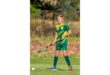 A young boy in a green and yellow hockey uniform stands on a grassy field holding a hockey stick. He looks focused and ready to play.