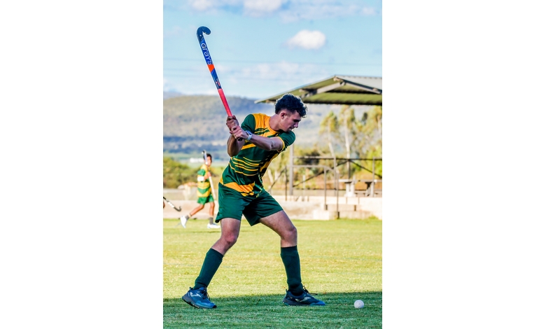 A hockey player in green and yellow prepares to swing a stick on a grassy field. The background shows trees and hills under a blue sky.