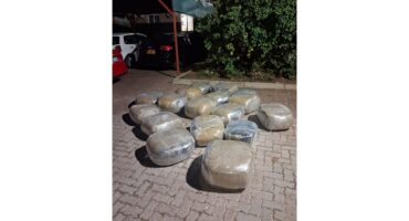 Piles of large, wrapped packages lie on a paved parking area at night. The setting appears urban, with parked cars and leafy bushes nearby.