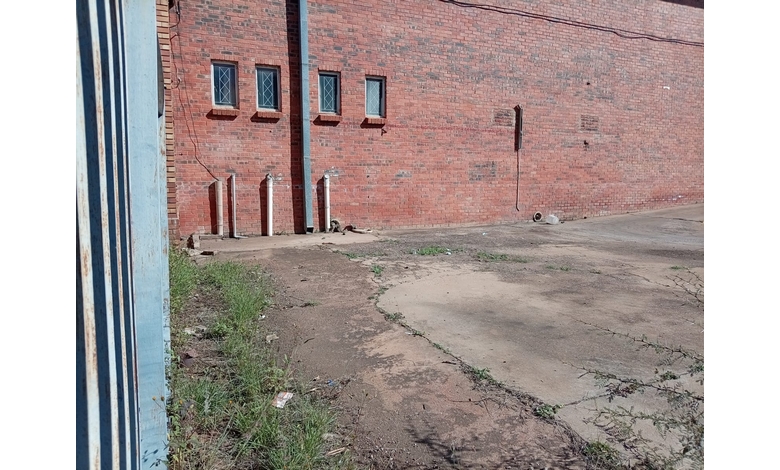A brick wall with three small, diamond-pattern windows and pipes beneath. The ground is a mix of concrete and patches of grass, with a calm, deserted feel. There are a few mongooses visible near the pipes.