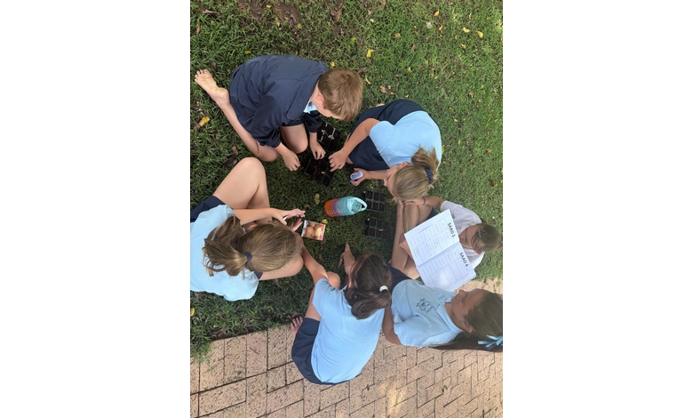 Students are sitting on the grass at school, engaged in conversation and enjoying the outdoors and planting seeds.
