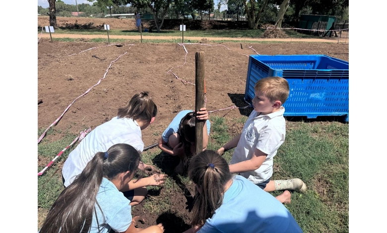A group of children planting young trees in the soil, engaged in an outdoor environmental activity.