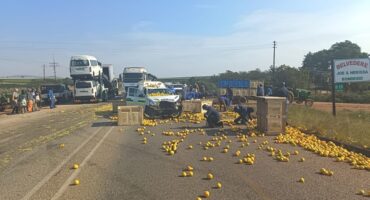 Trucks and crates with spilled oranges cover a rural road. People collect the fruit under clear skies. The mood seems busy and urgent.