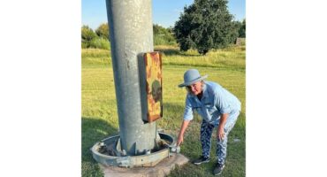 Councillor Elsie Vermooten looking at the damage caused to a high mast light pole.